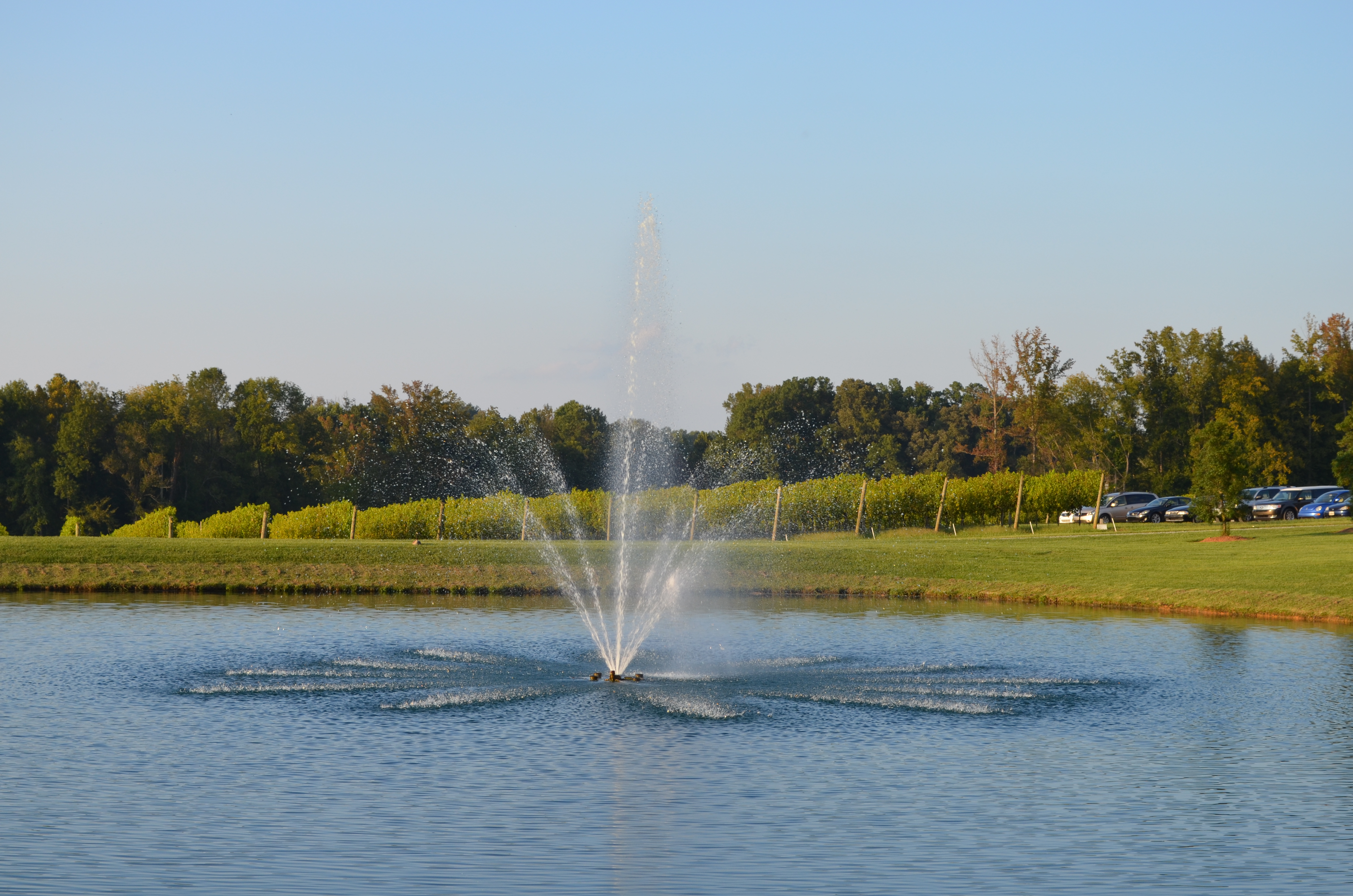 ./2012/Grape Stomp/DSC_0227.JPG